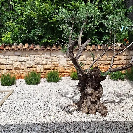 بيت للعطل Casa Dell 'amore بوريتش