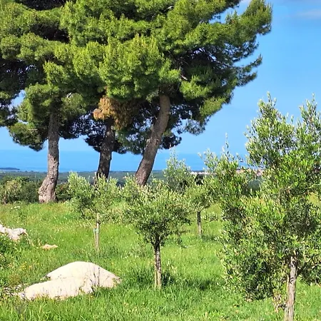 بيت للعطل Casa Dell 'amore *