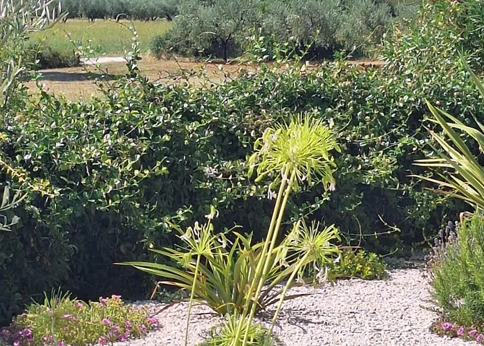 Feriehus Casa Dell 'amore *