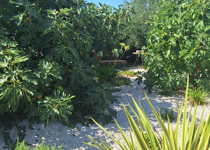 펜션 Casa Dell 'amore 포레치