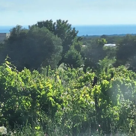 Casa Dell 'amore Porec