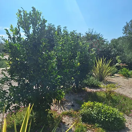 Casa Dell 'amore *