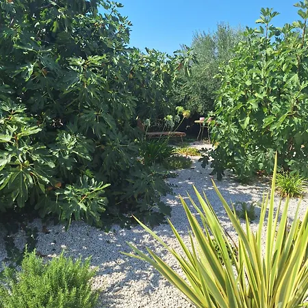 Holiday home Casa Dell 'amore Porec