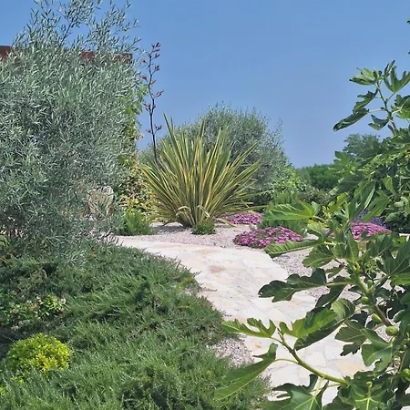 Casa vacanze Casa Dell ´amore *