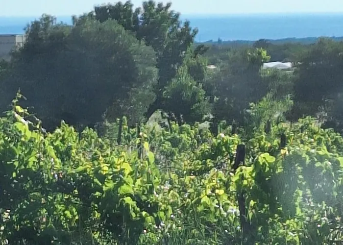 Casa Dell 'amore 포레치