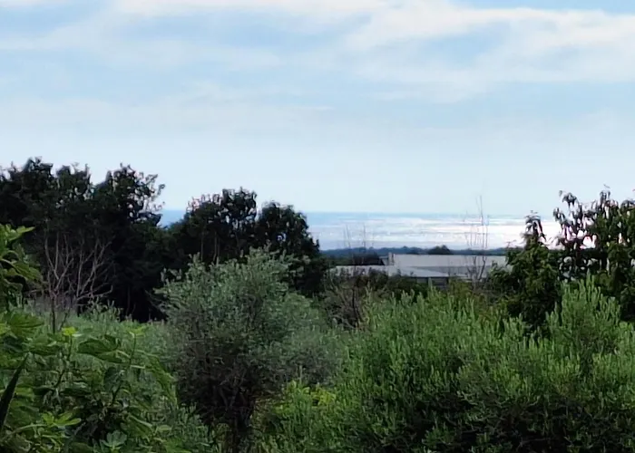 펜션 Casa Dell 'amore