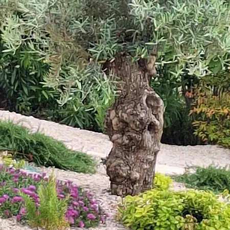 Vakantiehuis Casa Dell 'amore Poreč